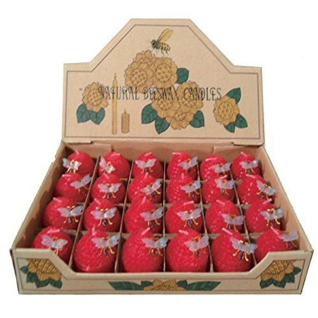 Green Pastures Vente en Gros Petites Bougies Rouges en Cire d'Abeille, Ensemble de 24