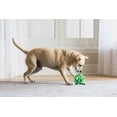 thumbnail image 2 of Chuckit! Hol-ee Roller Dog Ball, Treat Puzzle Toy for Dogs, Small 3.5", All Breeds, Pack of 1, Green, 2 of 4