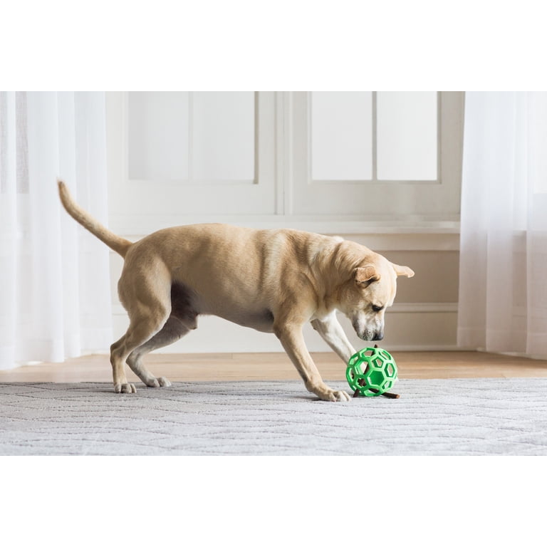 Chuckit! Hol-ee Roller Small Dog Ball Toy, Green photo 2