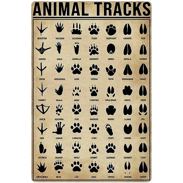 Animal Footprint Knowledge Metal Tin Sign Hunting Chart Poster Farm Outdoor  School Club Wall Decoration Plaque 12x18 Inches 