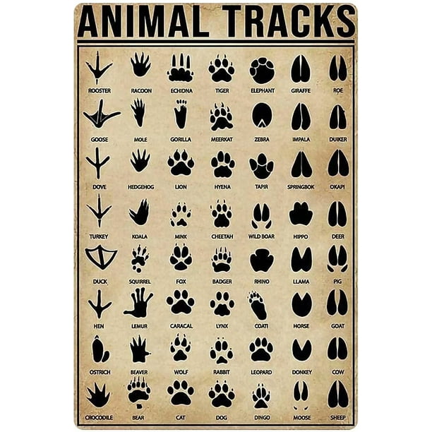 Animal Footprint Knowledge Metal Tin Sign Hunting Chart Poster Farm Outdoor School Club Wall Decoration Plaque 12x18 Inches Animal Footprint Knowledge Metal Tin Sign Hunting Chart Poster Farm Outdoor School Club Wall Decoration Plaque 12x18 Inches