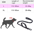 thumbnail image 3 of Collar de nailon ajustable para perro, hebilla de Metal resistente con asa para adiestramiento de perros, 3 of 6