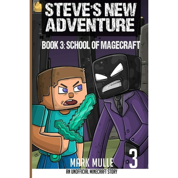 Steve's New Adventure Steve's New Adventure Book 3: School of Magecraft, Book 3, (Paperback)