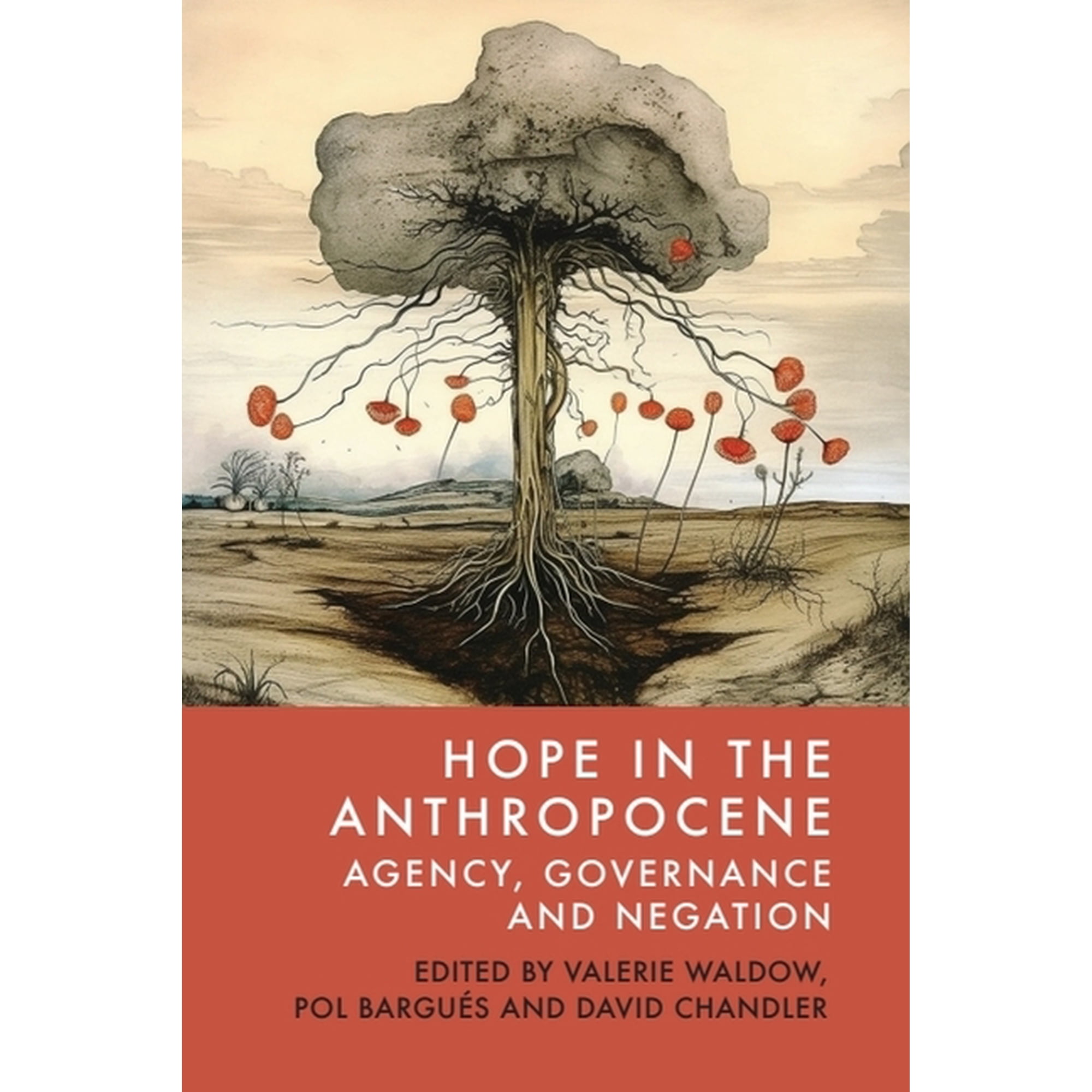 Hope in the Anthropocene: Agency Governance and Negation (Hardcover)