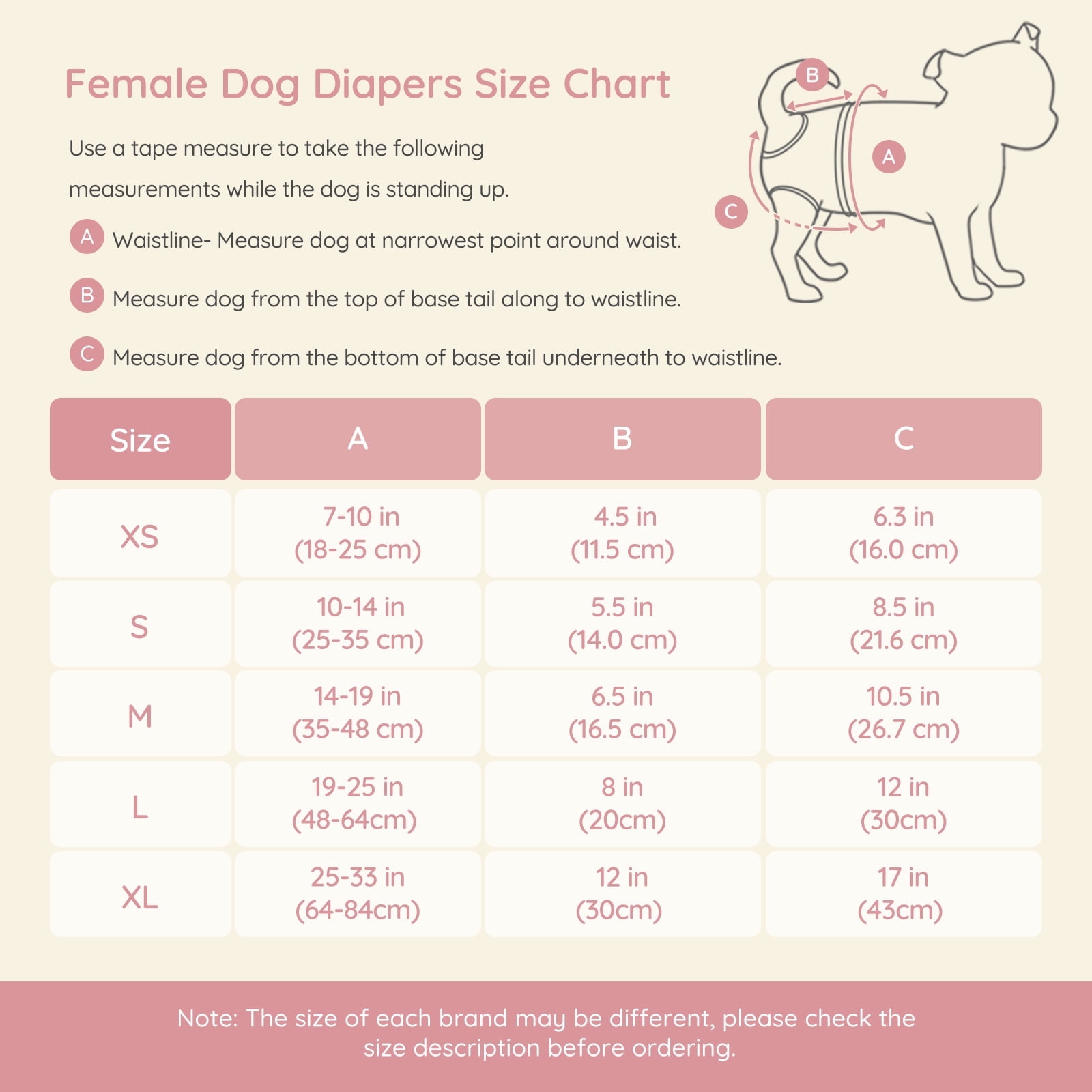 BELLA & PAL Pink Female Dog Diapers, 3-Pack, Highly Absorbent Washable Diapers for Small Dogs, Leak-Proof Puppy Diapers, S