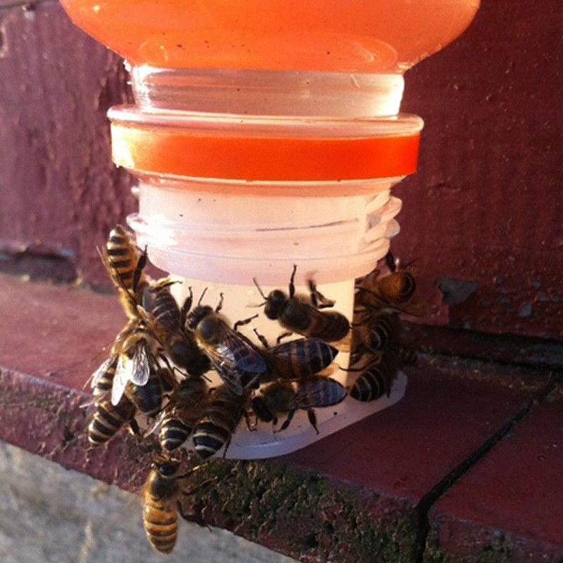 3* Beekeeping Beehive Water Feeder Bee Drinking Nest Entrance Beekeeper Cup Tool
