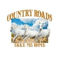 thumbnail image 2 of Junior's Lost Gods Country Roads Horses  Graphic Tee White Medium, 2 of 3