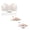WH2, variant on Gyexs Womens Strapless Bandeau Bra Non Bras Push Up Wireless Padded Bras Supportive Seamless Bra Comfortable Tube Bra #Beige1