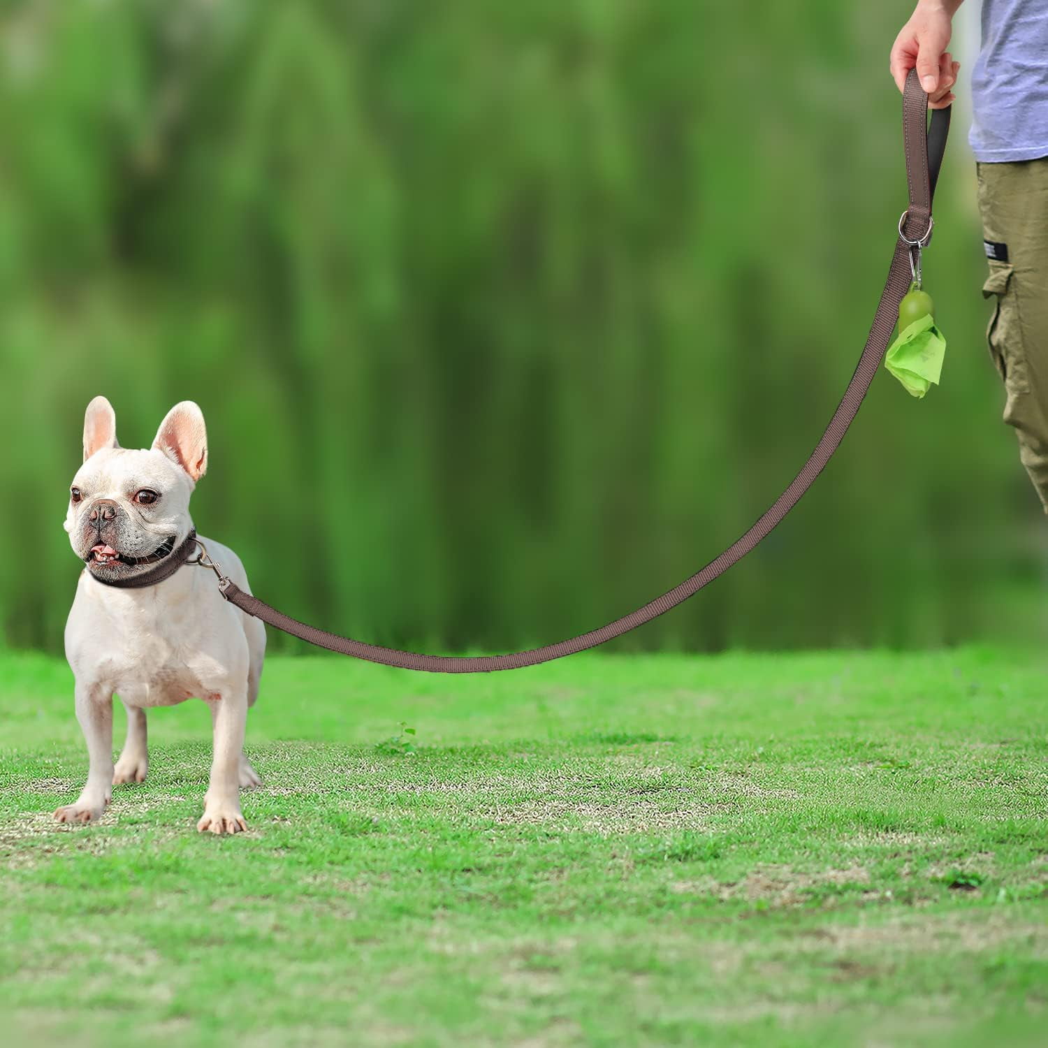 Solennerer Dog Leash Heavy Duty Pet Leash 2 Traffic Padded Handles Reflective Leash for Medium to Large Dogs