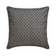 thumbnail image 1 of Fundas de almohada grises y negras de 40 x 40 cm (16 x 16 pulgadas), cojines de seda bordados para sofá, diseño contemporáneo de lunares - Tocador de lunares grises, 1 of 3