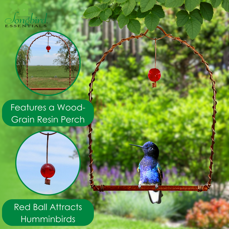 Songbird Essentials Hummingbird Swing for Hummingbird Feeder