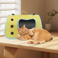 thumbnail image 5 of Portable Pet Bag Scratch Travel Backpack For Cats And Small Dogs, 5 of 5