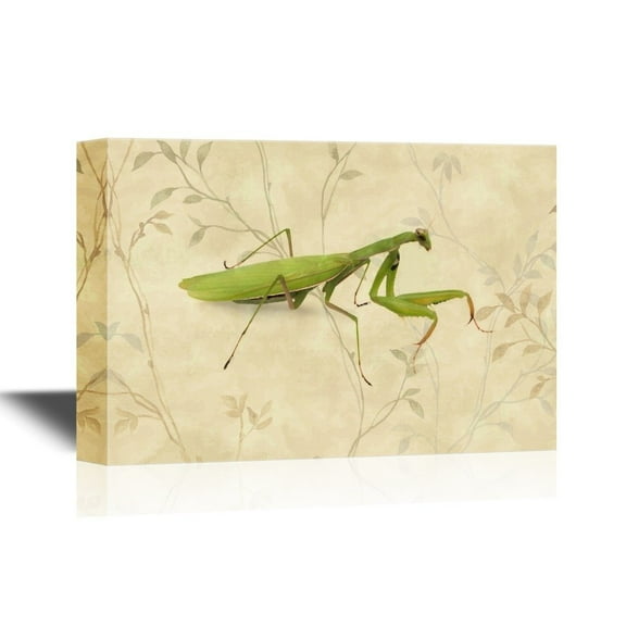 wall26 - Insects Artwork Series Canvas Wall Art - A Praying Mantis on Floral Background - Gallery Wrap Modern Home Art | Ready to Hang - 16x24 inches