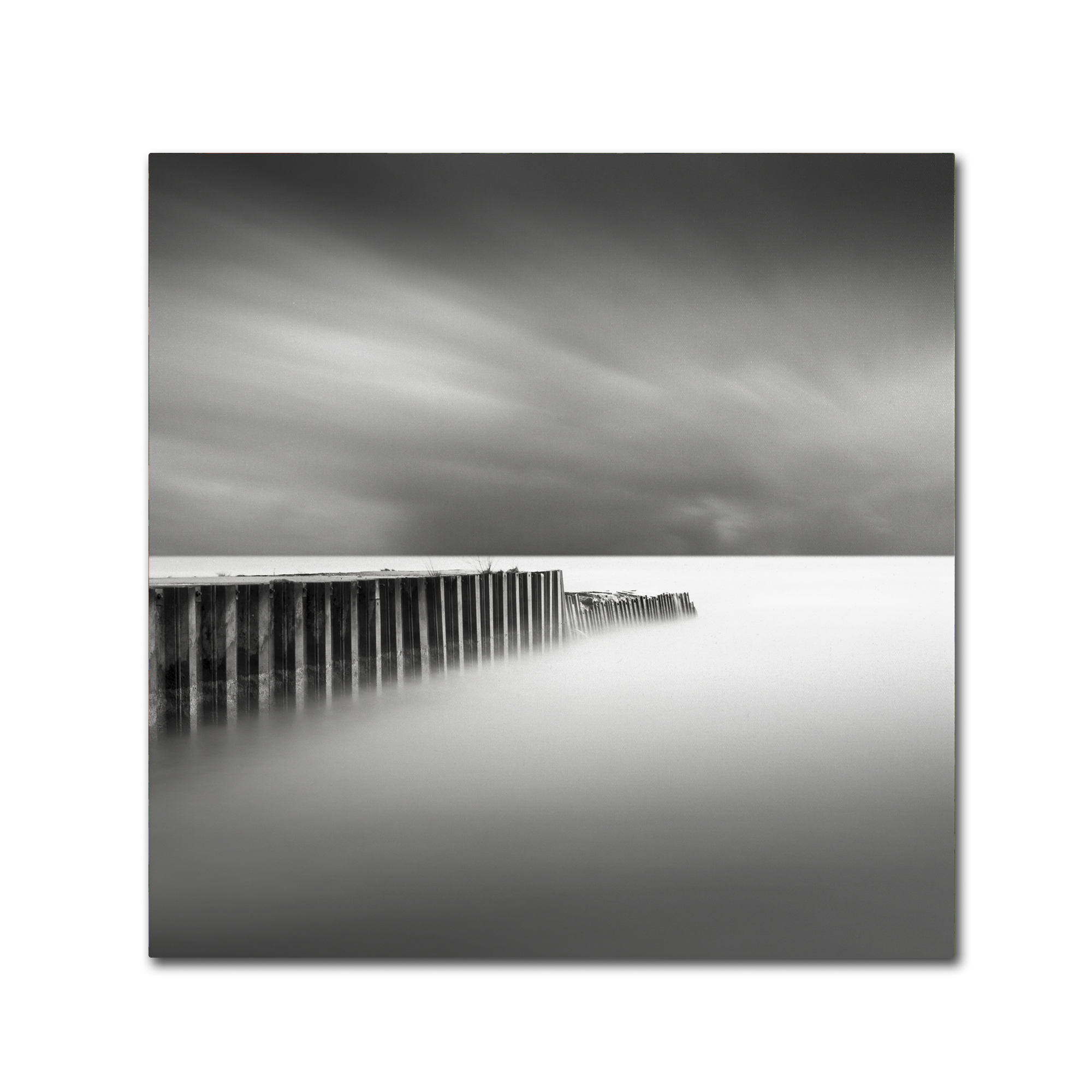 Trademark Fine Art Dave MacVicar 'Stormy' 14 x 14 (ALI0855-C1414GG)