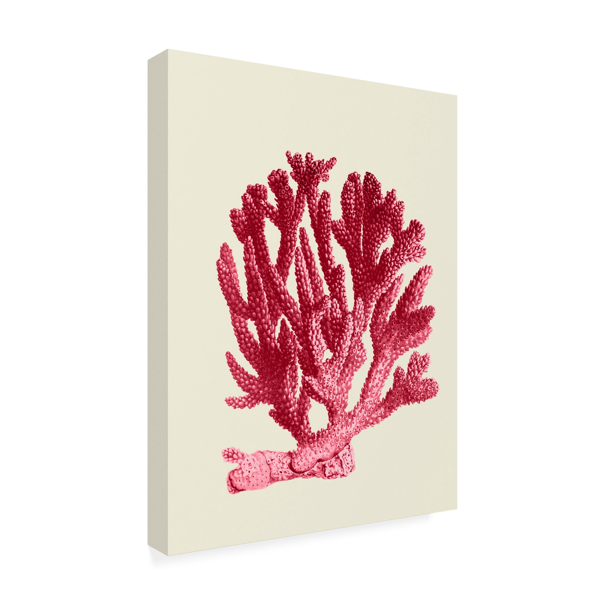 Trademark Fine Art 'Red Corals 1 a' Canvas Art by Fab Funky
