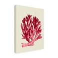 thumbnail image 2 of Trademark Fine Art 'Red Corals 1 a' Canvas Art by Fab Funky, 2 of 3