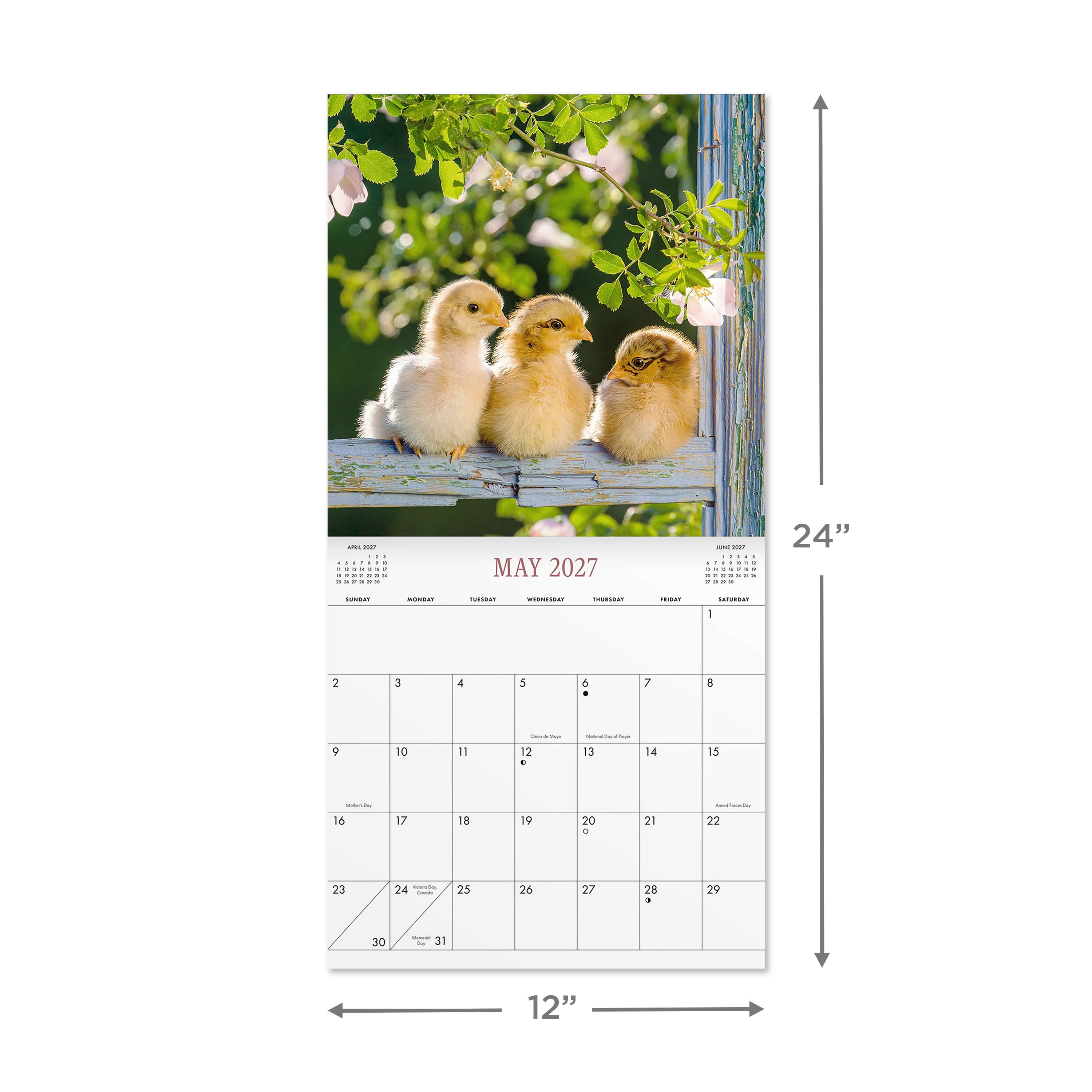 2027 Chickens Wall Calendar 12x12 January-December Gridded