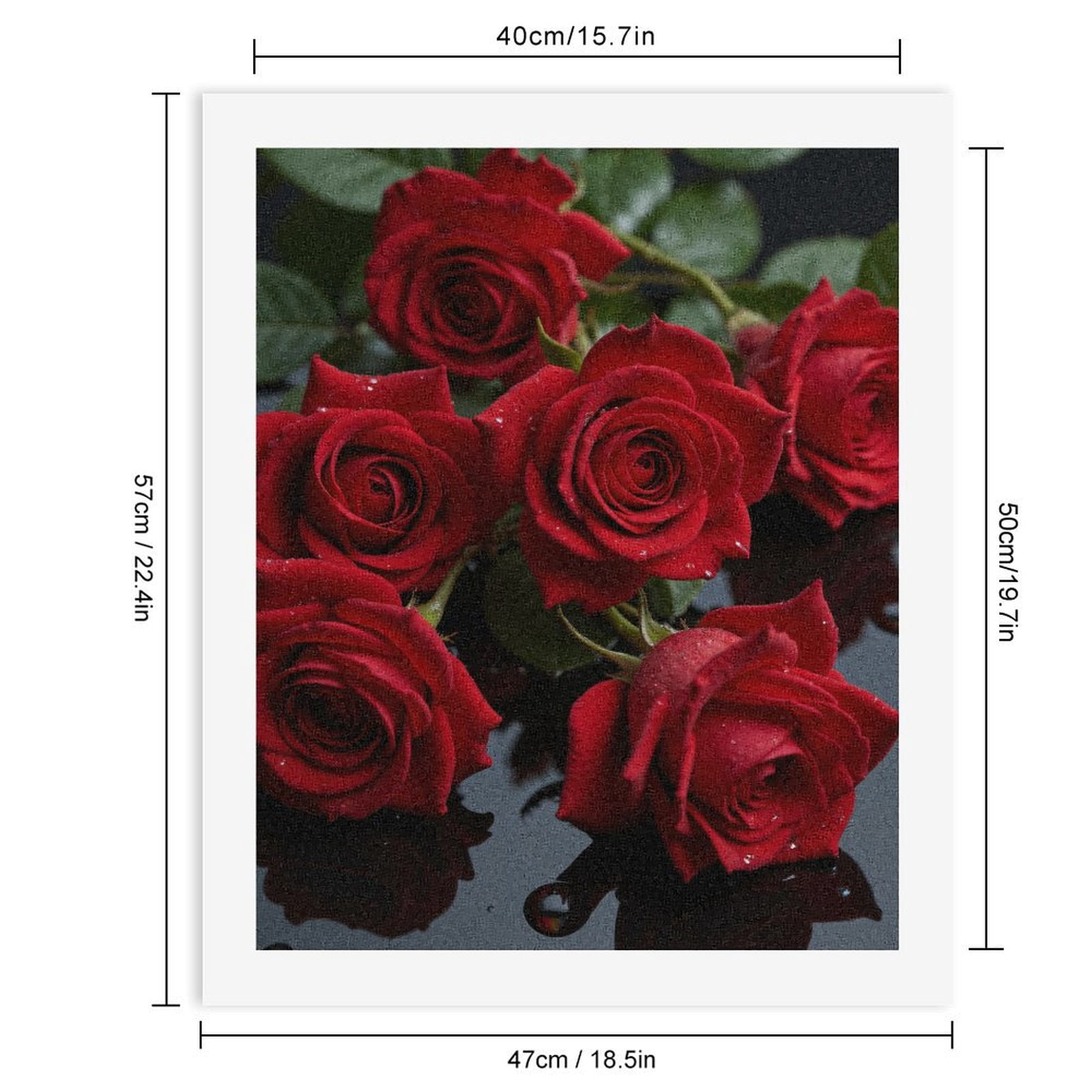 Paint By Numbers Kit for Adults Beginner - DIY Red Roses With Water Droplets Canvas Painting Kits for Adults, Frameless Paint By Number for Adults for Home Wall Decor 16x20 Inch