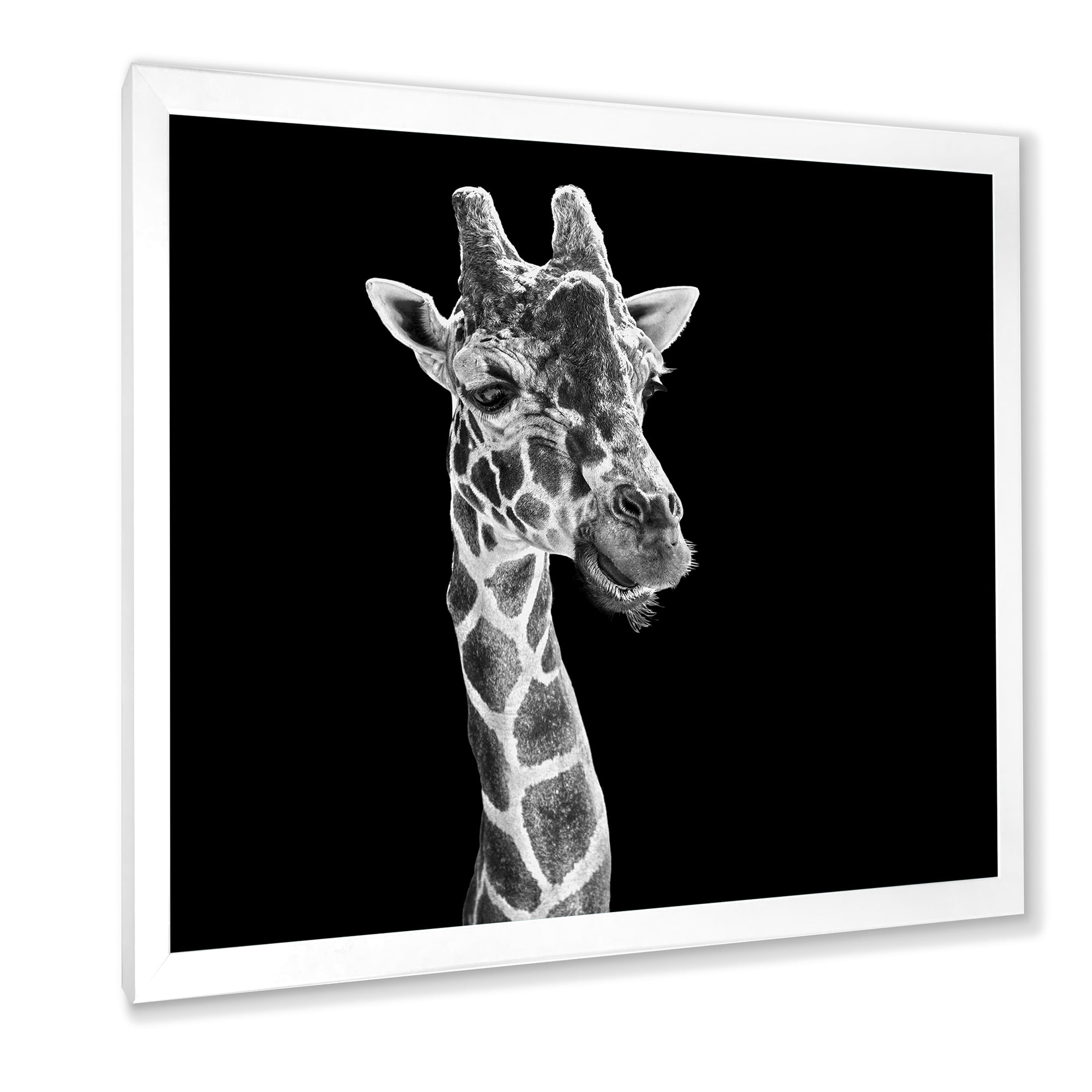 Designart 'Close Up Portrait Of A Giraffe On Black II' Farmhouse Framed Art Print