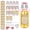 Round-8oz-10pcs, variant on 10 Pack Swing Top Glass Vanilla Extract Bottles 4 oz with Lids, Vanilla Extract Labels and Funnel, Glass Boston Bottles for Syrup Gift, Flip Top Jars