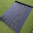 thumbnail image 3 of Agriculture Mulch Pre-punched Hole Plastic Film Greenhouse Weeds Control Mylar Strawberry Vegetable Nursery Planting Tools, 3 of 9