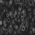 thumbnail image 1 of Ahgly Company Machine Washable Indoor Square Transitional Midnight Gray Area Rugs, 7' Square, 1 of 7