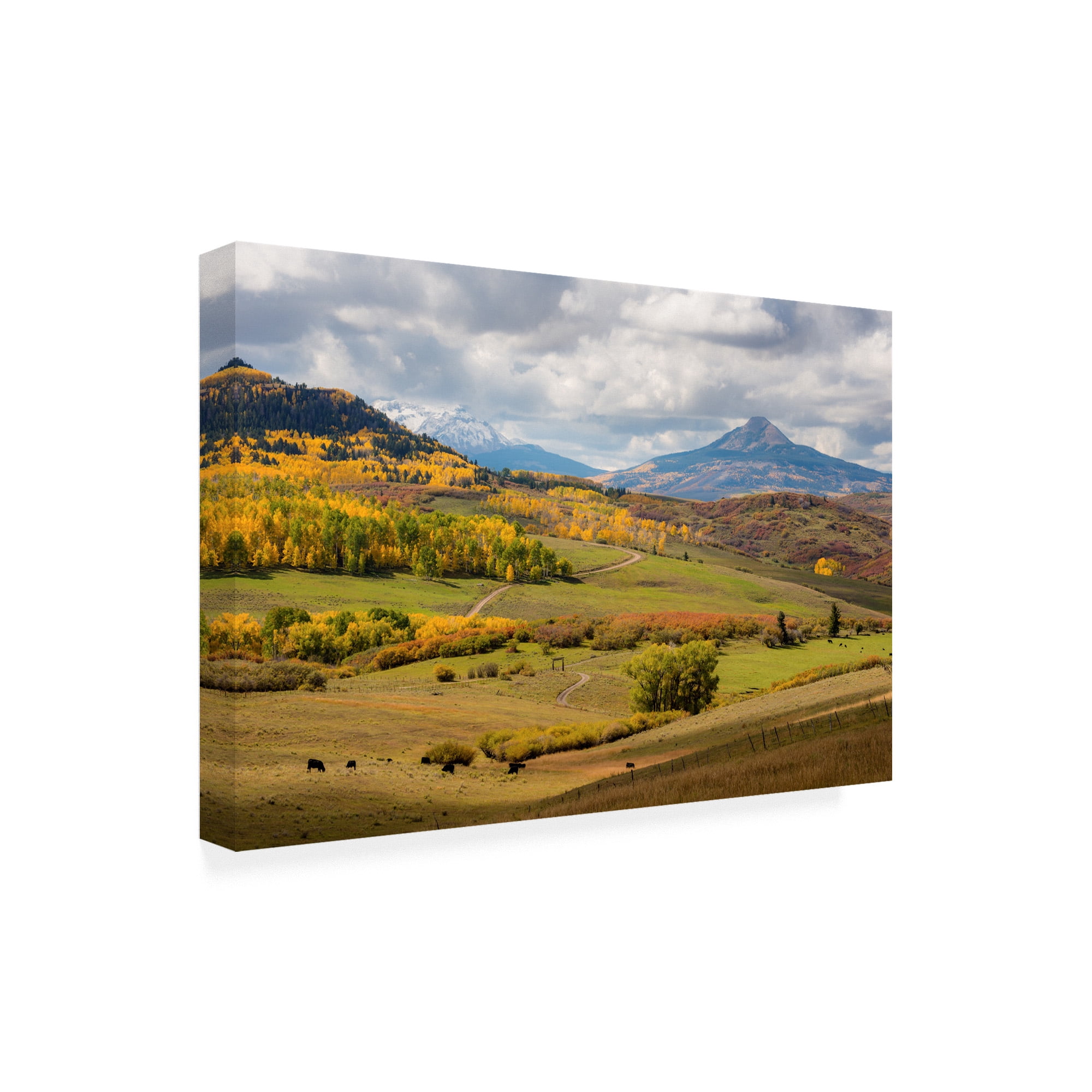 Trademark Fine Art 'Mountain And Hills' Canvas Art by Dan Ballard