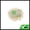 Green, variant on Unique Bargains Fruit Bath Sponge Body Scrubber 1 Pc Yellow