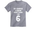 thumbnail image 1 of Tstars Boys Unisex 6th Birthday Gift Shirt Birthday Gift for 6 Year Old Birthday Gift for Boys I Know Everything I'm 6 Funny Birthday Party B Day Youth Kids T Shirt, 1 of 7