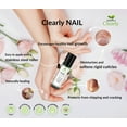 thumbnail image 4 of Isabella's Clearly NAIL and Cuticle Oil for Strong Nails and Soft Cuticles | Strengthening Roll On Nail Oil with Tea Tree, Jojoba and Blue Tansy to Repair and Nourish | Natural Essential Oil Blend, 4 of 6