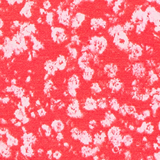 Mini Floral Dots
