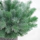 thumbnail image 2 of Billuyoard Ramas de de pino artificial para el hogar, decoración de hojas de plantas de Hotel, adorno de planta falsa de plástico Plantas Artificiales Billuyoard HA6781-00B, 2 of 6