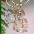 thumbnail image 5 of Pet Hair Storage Box Transparent Keepsake Container for Cat Fur DIY Decoration Memorial for Pet Lovers Display,A, 5 of 5