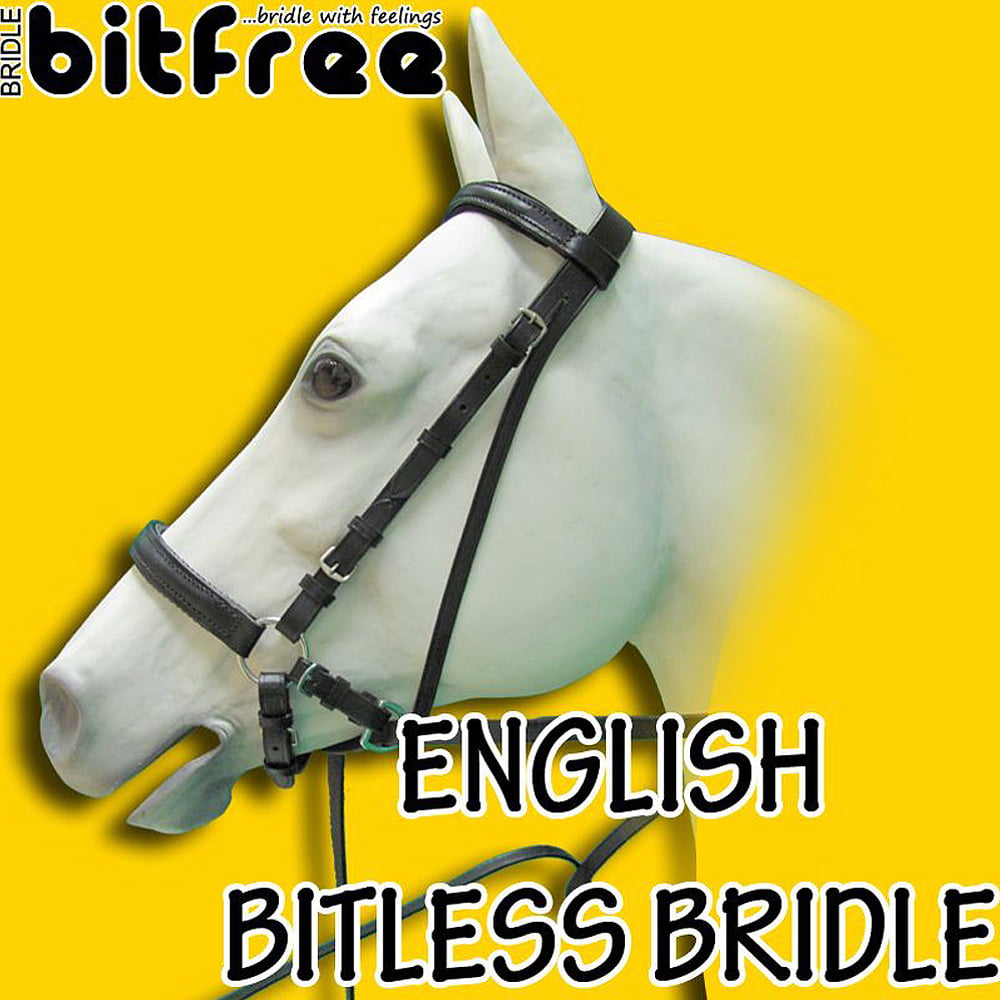 HILASON BITLESS BRIDLE HACKAMORE BOSAL HORSEMANSHIP EQUESTRIAN HORSE TACK WHITE 