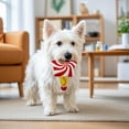 thumbnail image 4 of Btomtd Colorful Lollipop Squeaky Pet Toy Soft Crystal Fabric Lightweight Squeak And Crinkle Sounds For Small Dogs And Cats, 4 of 7