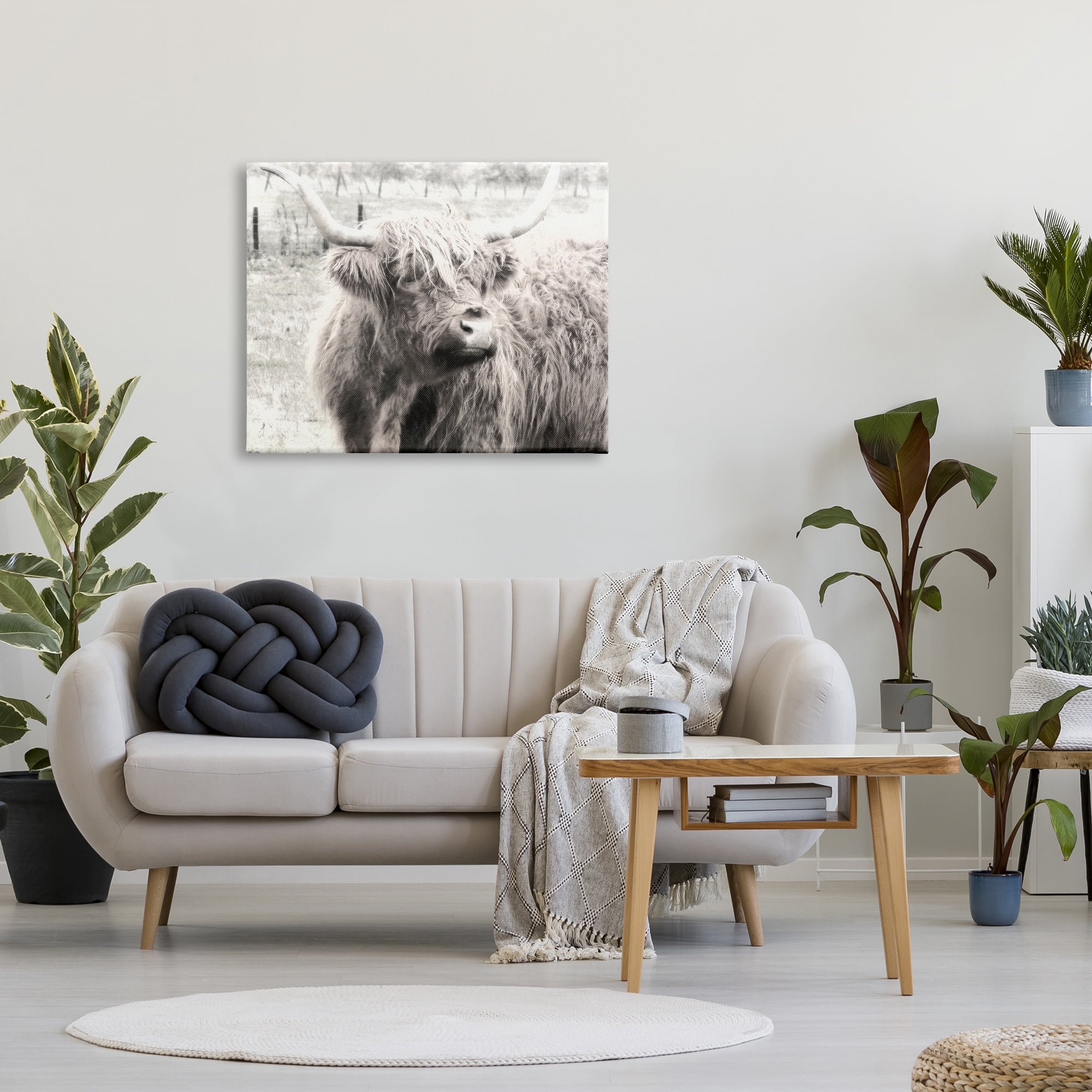 Stupell Industries Rustic Farm Highland Cattle Cow Monochrome Photography Photograph Gallery Wrapped Canvas Print Wall Art, Design by Graffitee Studios