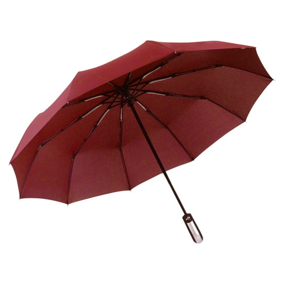 Automatic Open & Close Travel Umbrella Wind Resistant Compact Umbrella 10 Ribs Small Portable Umbrella Stormproof for Rain