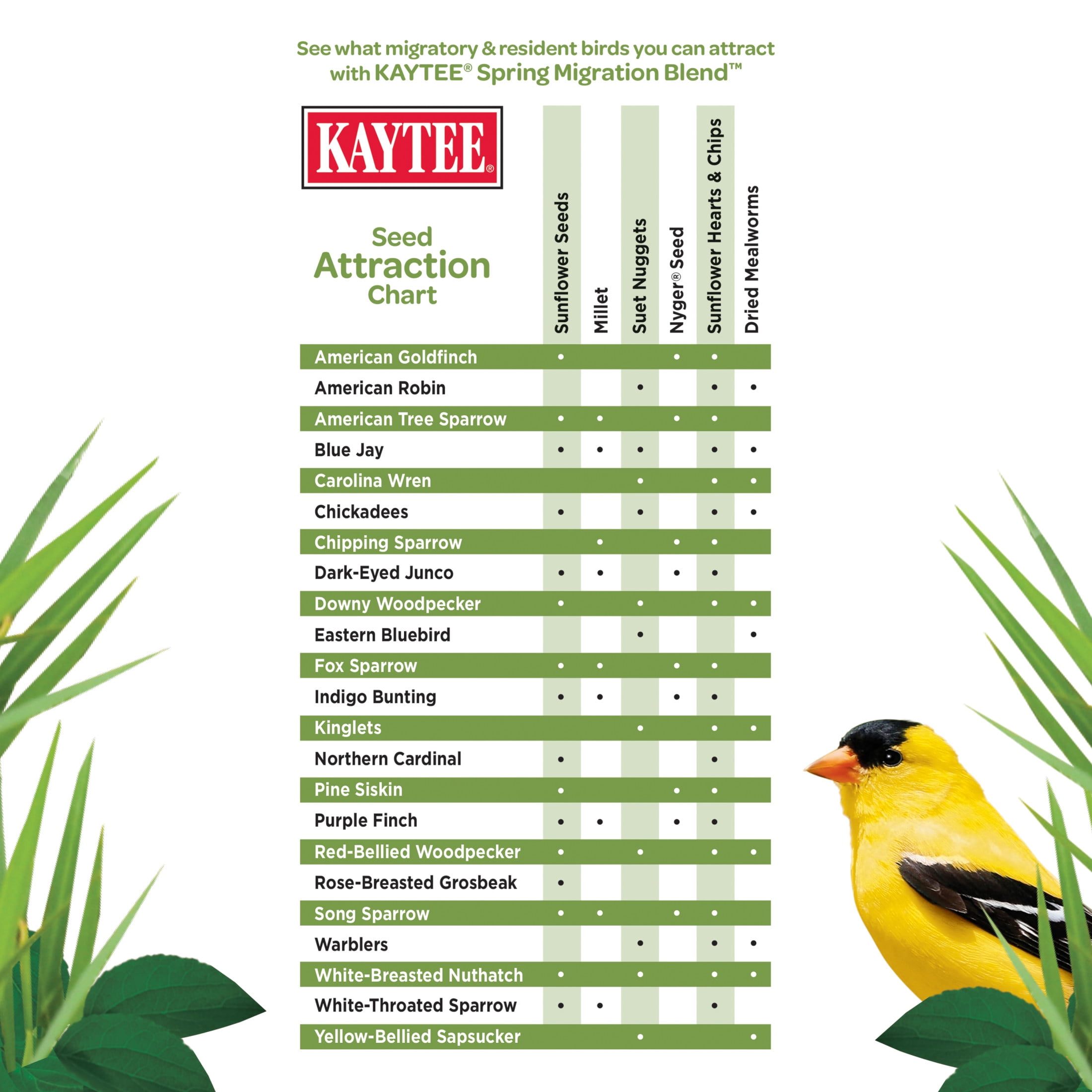 Kaytee Spring Migration Wild Bird Feed with High Energy Ingredients for Migratory Birds, 8 lbs