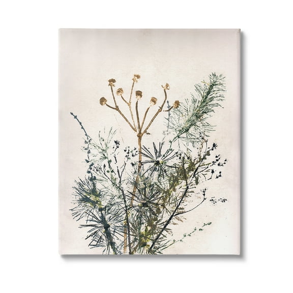 Stupell Industries Pine Needles Impression Botanical & Floral Painting Gallery Wrapped Canvas Art Print Wall Art, 16 x 20