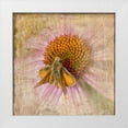 thumbnail image 1 of Murdock, Ramona 12x12 White Modern Wood Framed Museum Art Print Titled - Mealy Moth, 1 of 4