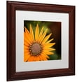 thumbnail image 2 of Trademark Fine Art "Everyday" Canvas Art by Philippe Sainte-Laudy, White Matte, Wood Frame, 2 of 4