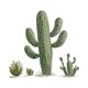 thumbnail image 3 of Adhesivos de pared autoadhesivos de PVC con diseño de cactus del desierto tropical, 49 x 50 cm, 3 of 4