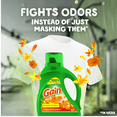 thumbnail image 3 of Gain Island Fresh Liquid Detergent, 176 fl oz ,122 Loads(2-Pack), 3 of 6