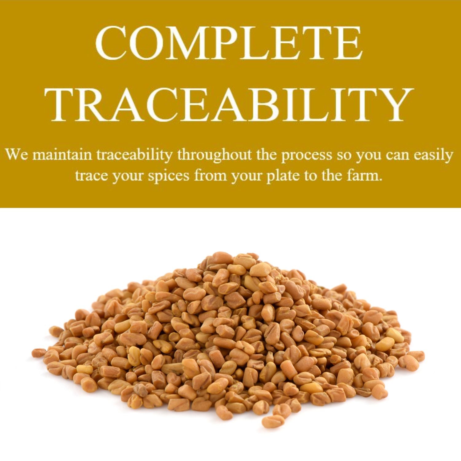 Organic Fenugreek Seeds Add Unique And Robust Flavor To Your Cooking Organic Fenugreek Seeds Add Unique And Robust Flavor To Your Cooking