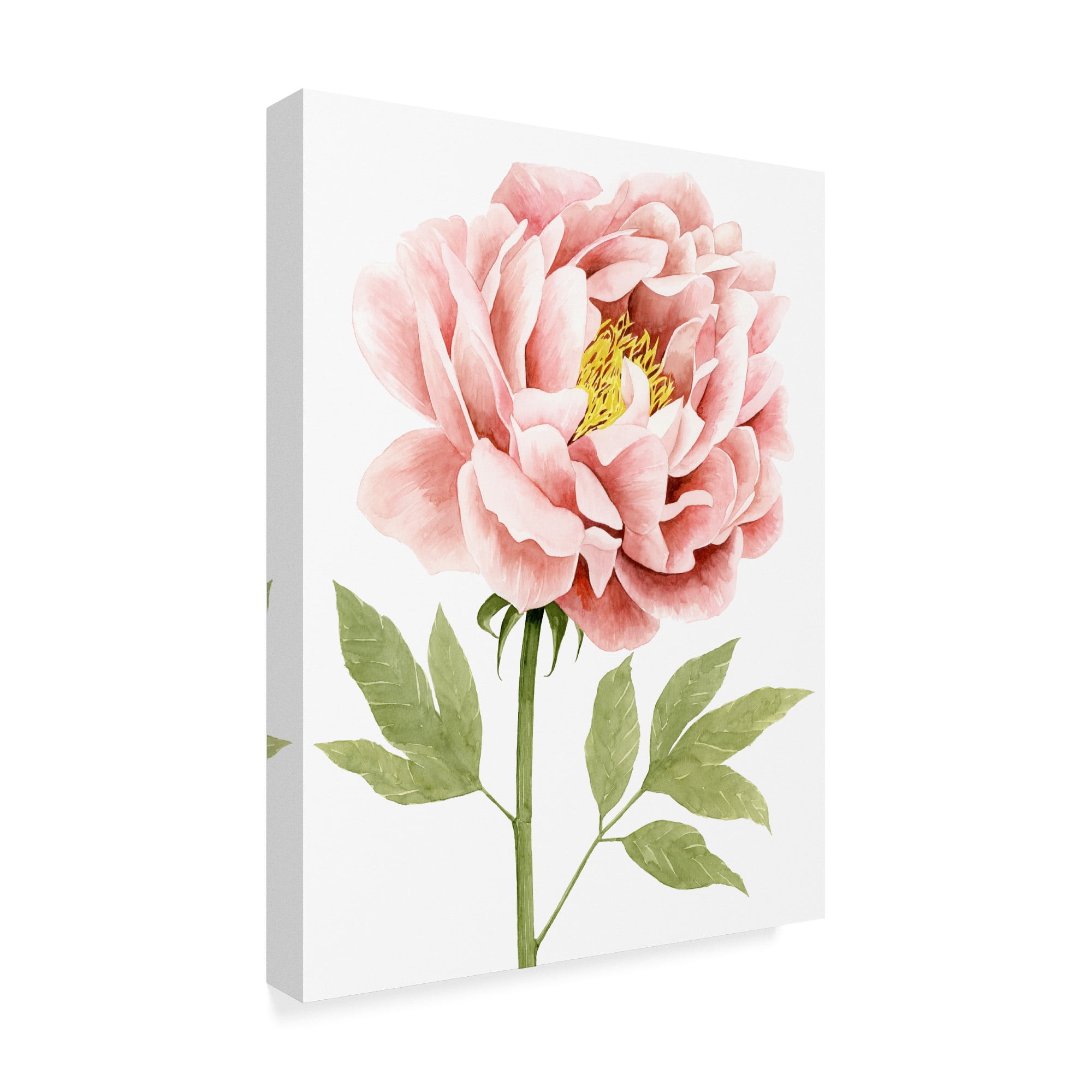 Trademark Fine Art 'Watercolor Peony I' Canvas Art by Grace Popp