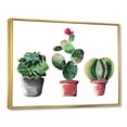 thumbnail image 3 of Designart 'Three Cacti In Clay Pots On White' Traditional Framed Canvas Wall Art Print, 3 of 5