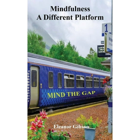 Mindfulness - A Different Platform: Mind the Gap, (Hardcover)