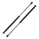 thumbnail image 1 of Soportes de elevación únicos para Mini Cooper 2002-2014 No.41626801258/41626801203 Resorte de gas trasero negro 2PCS, 1 of 7