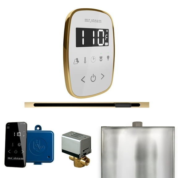 Mr Steam ButlerFlex Steam Shower w/TempoFlex Control and Linear Steamhead in White Polished Brass