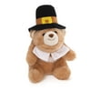 Gund Snuffles Lil Snuffles Bear Dressed as Pilgrim Thanksgiving Plush Toy
